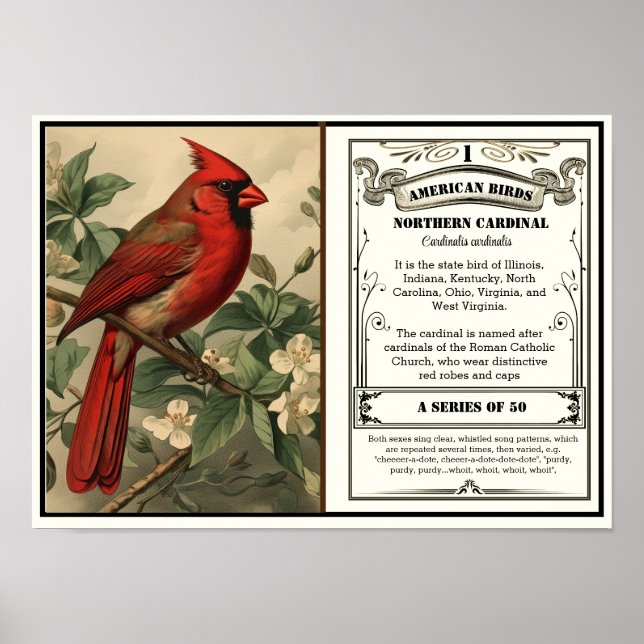 Poster State Bird Collection, Cardinal, personalizável (Frente)
