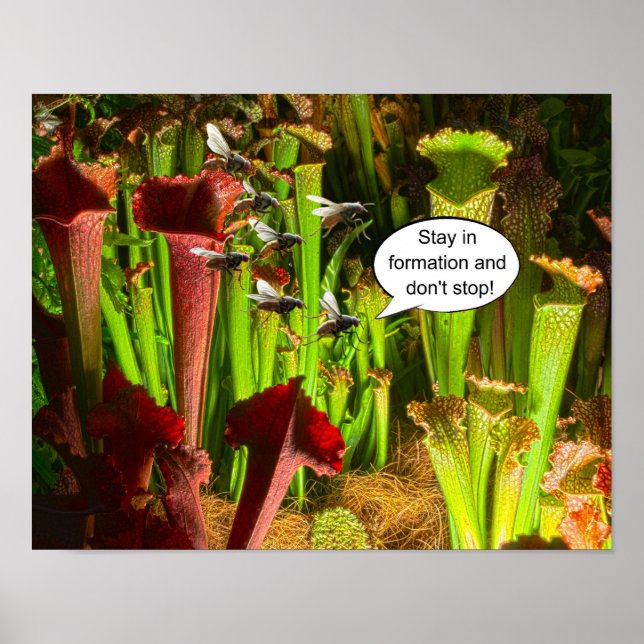 Poster Stay in formation and don't stop. (Frente)