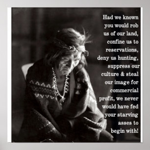 Pôster Stealers da terra