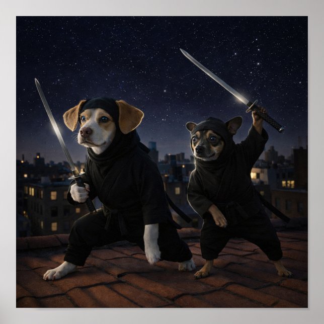 Poster "Stealth Mode" (Frente)