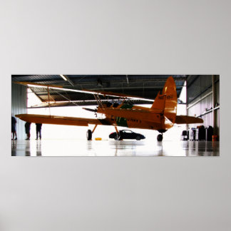 Pôster Stearman
