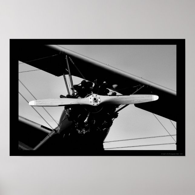 Poster Stearman Kadet (Frente)
