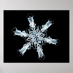 Poster Stellar snow crystal