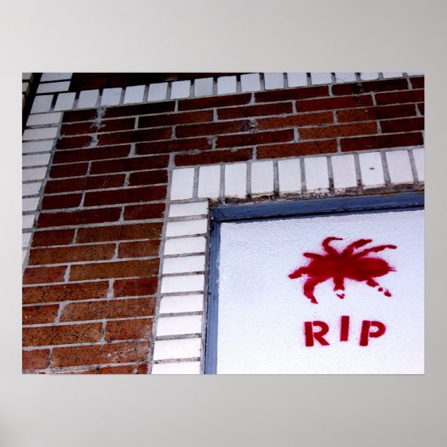 Pôster stencil de aranha r.i.p. (Frente)