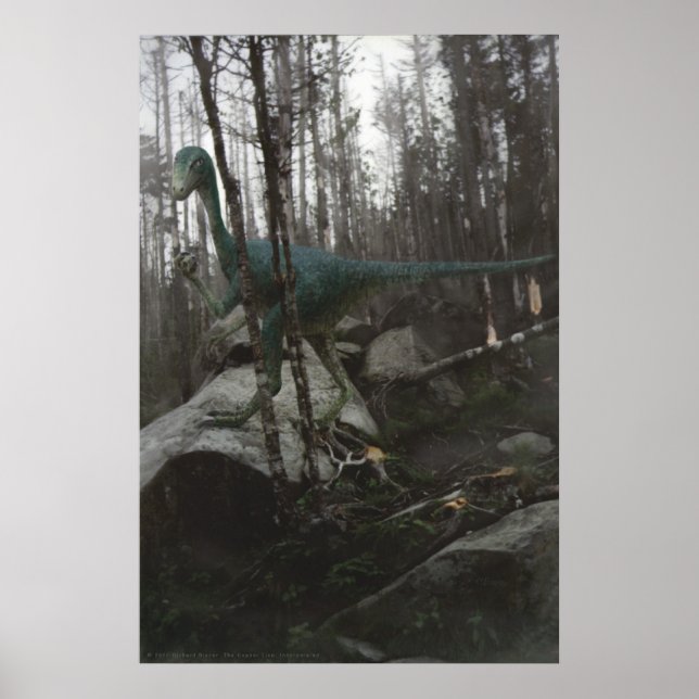 Poster Stenonicossauro (Frente)