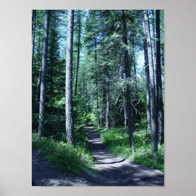 POSTER STEPHANEY DAY (Frente)