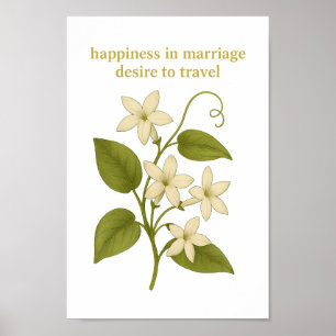 Poster Stephanotis - Felicidade no casamento