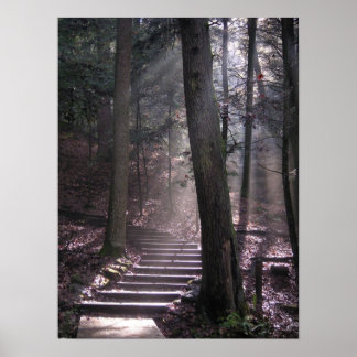 Poster Steps to Enlightenment