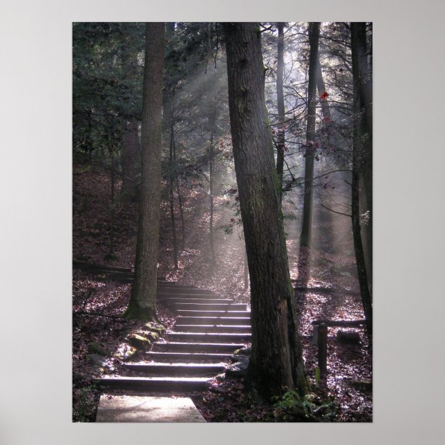 Poster Steps to Enlightenment (Frente)