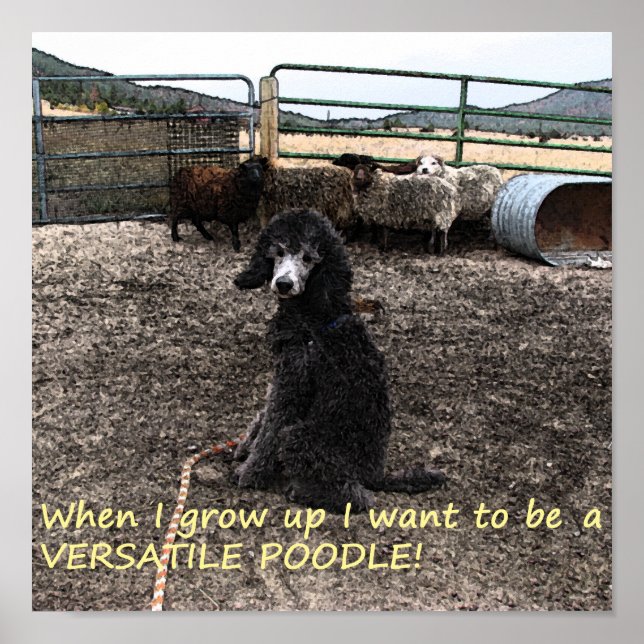 Pôster Sterling (Frente)