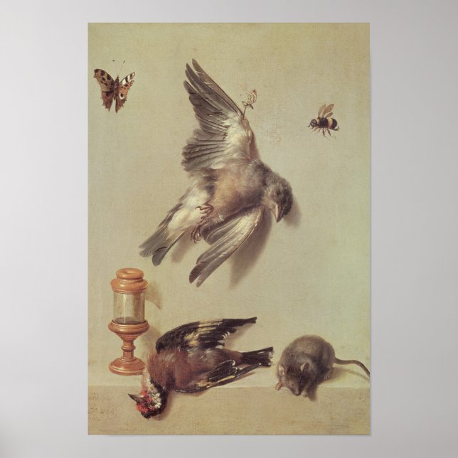 Poster Still Life of Dead Birds and a Mouse, 1712 (Frente)
