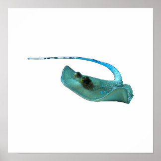 Poster Stingray - Design Abstrato - Cortado de uma foto |
