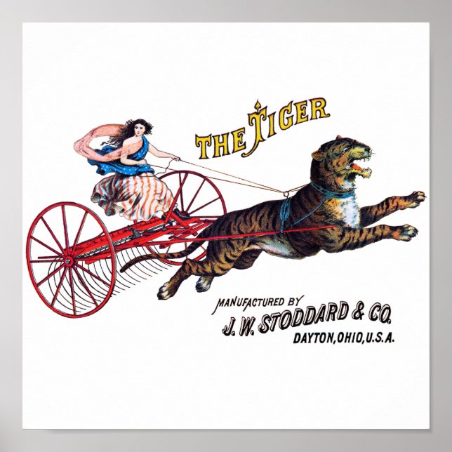 Poster Stoddard Tiger (Frente)