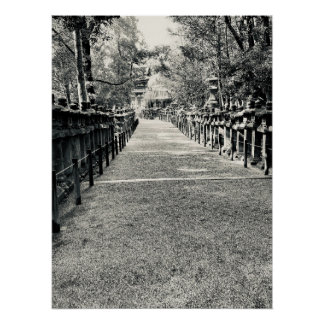 Pôster Stone Lanterns Along a Shrine Approach in Japan
