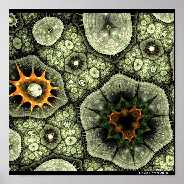 Pôster Stone Lichen (Frente)