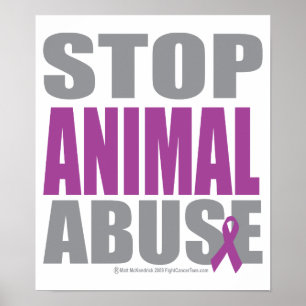 Pôster Stop Animal Abuse