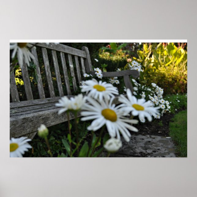 Pôster Stop To Smell The Daises (Frente)