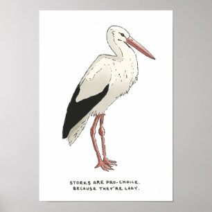 Pôster stork trivia