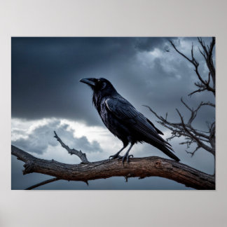Poster Stormy Night Raven com cobertura geométrica
