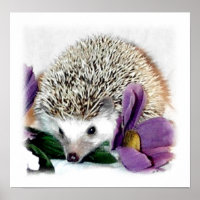 Stormy the Hedgehog