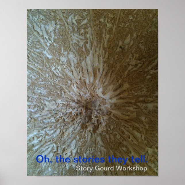 Pôster Story Gourd Poster- Inside (Frente)