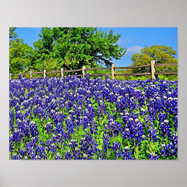 Poster Storybook Bluebonnet Flores de Fotografia (Frente)