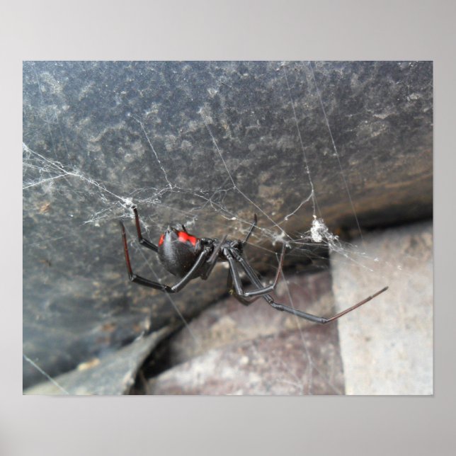 Pôster Strands Silken (Frente)