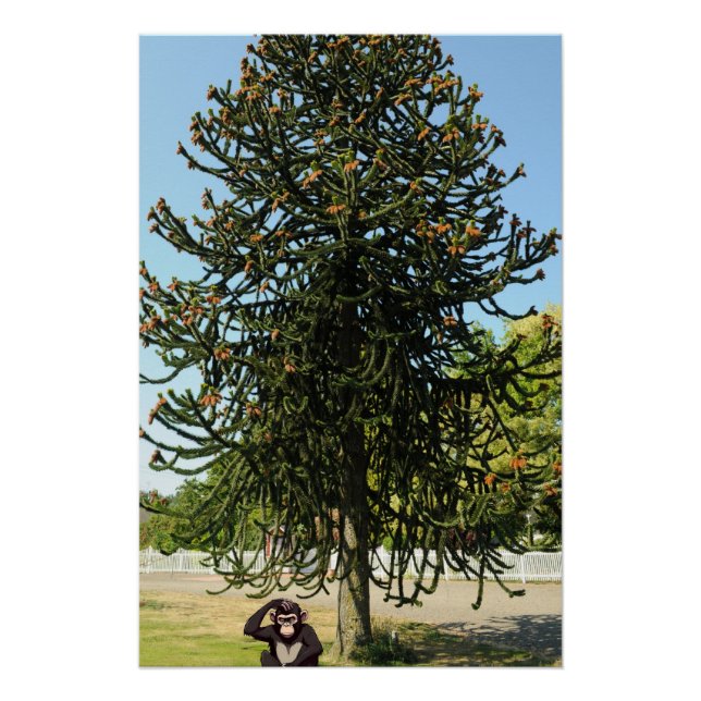 Pôster Strange enough to puzzle a monkey. (Frente)