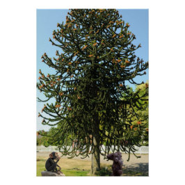 Pôster Strange enough to puzzle a monkey.