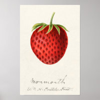 Strawberry (Fragaria) Fruit Watercolor Painting