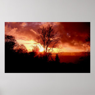 Pôster Strawberry Sunrise