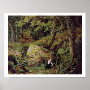 Pôster Stray rabbits