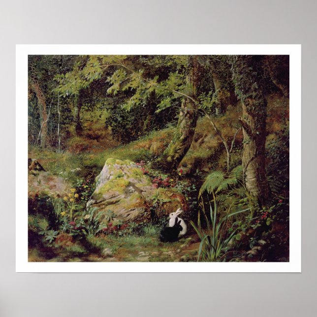 Pôster Stray rabbits (Frente)