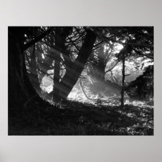 Poster Streak of Light