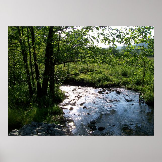 Pôster Stream in Cades Cove (Frente)
