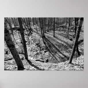 Pôster Stream in Highbanks Metropark (preto/branco)