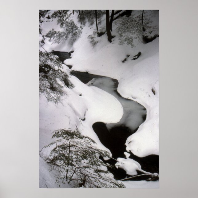 Pôster Stream no inverno (Frente)