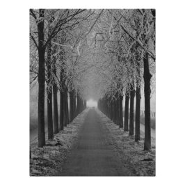 Pôster Street winter