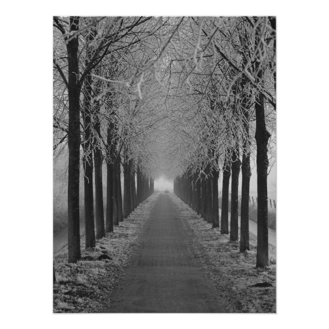 Pôster Street winter (Frente)