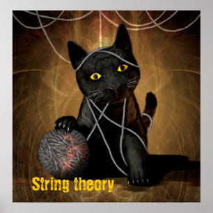 Pôster String theory cat