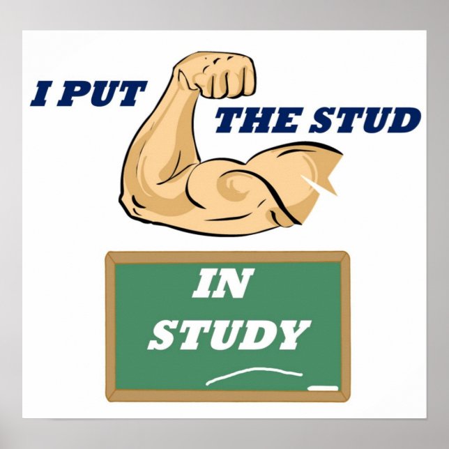 Poster Stud Study Full (Frente)