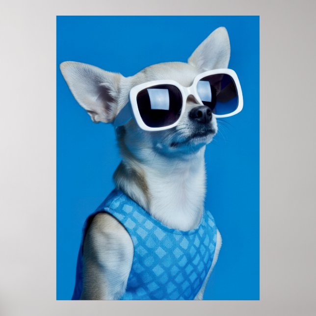 Poster Stylish Chihuahua in Sunglasses (Frente)