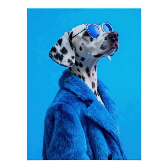 Pôster Stylish Dalmatian Dog Portrait in Blue Fur Coat (Frente)