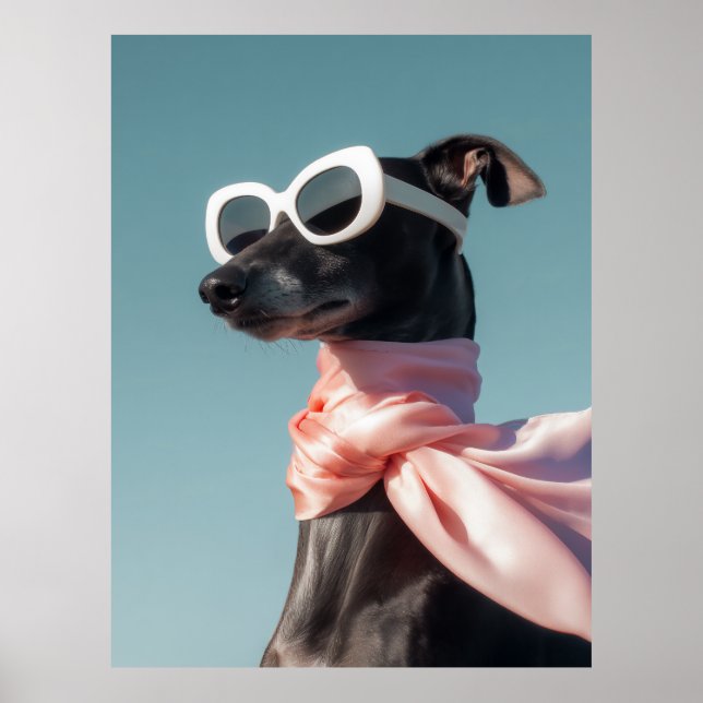 Poster Stylish Dog With Sunglasses Scarf (Frente)