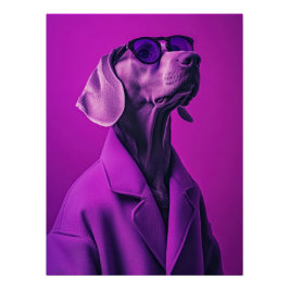 Pôster Stylish Weimaraner with Glasses and Neon Coat