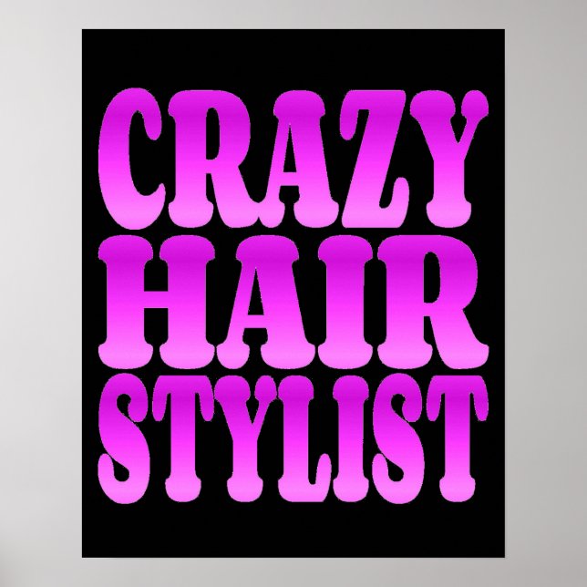 Pôster Stylist para o cabelo louco (Frente)