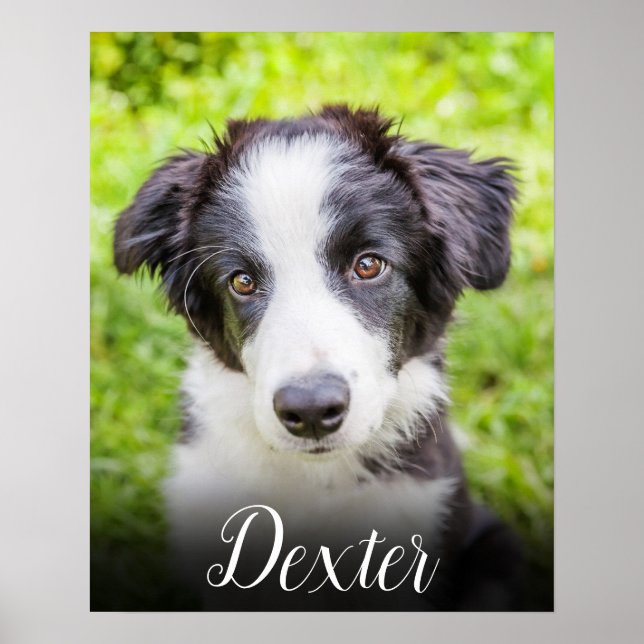 Poster Sua Foto de Estimação Favorita (Frente)