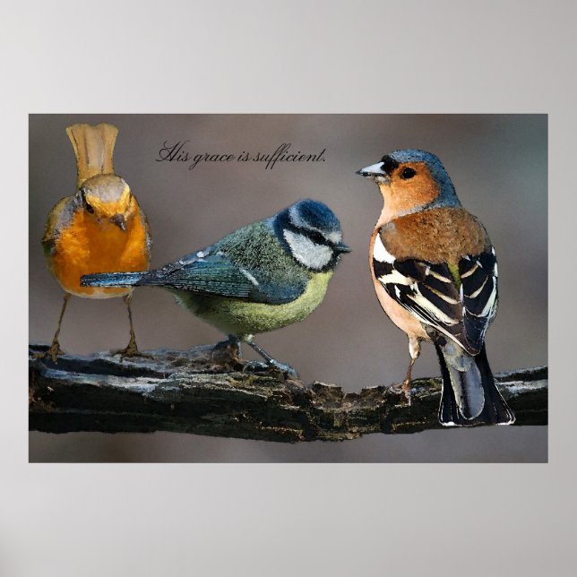 Pôster Sua graça é suficiente. (Frente)