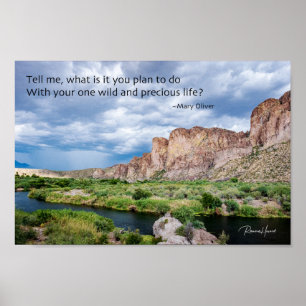 Poster Sua vida selvagem e Precioso