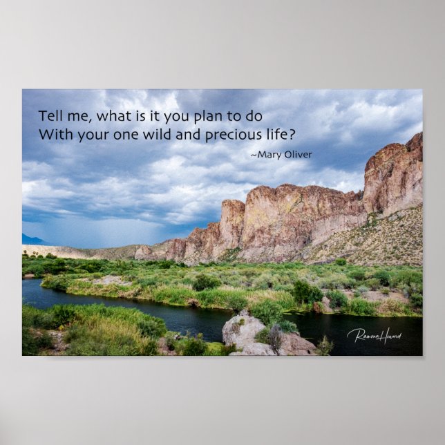 Poster Sua Vida Útil e Precioso (Frente)